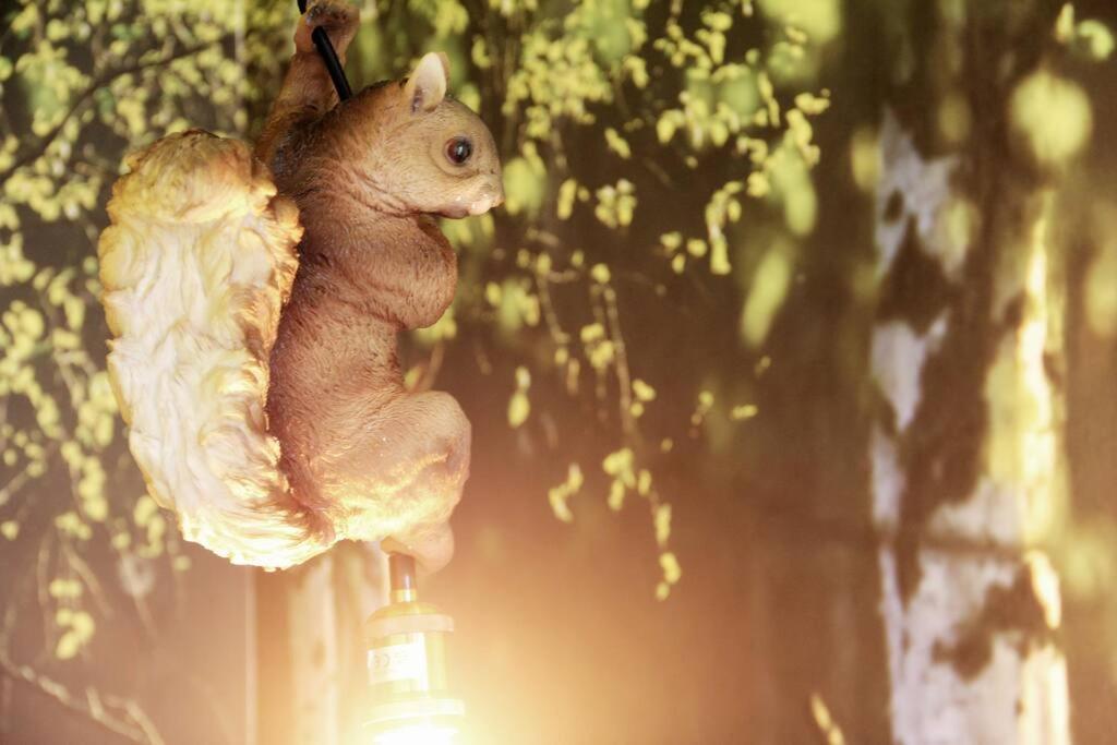Secret Hideaways Wood Lodge Mit Kinderzimmer Messe L City L Flughafen L Hbf 뒤스부르크 외부 사진